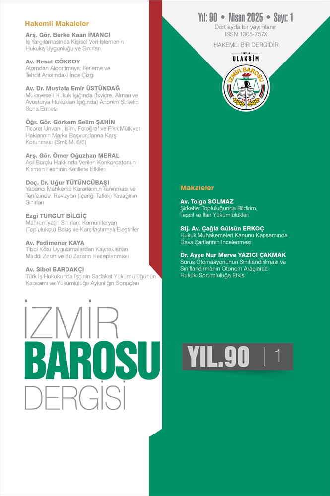 Sayı 2025-1